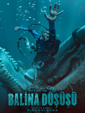 Balina Düşüşü